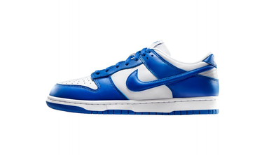 Nike Dunk Low Blue sp kentucky (2020)